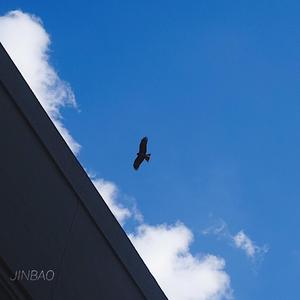 男生插入女生视频
